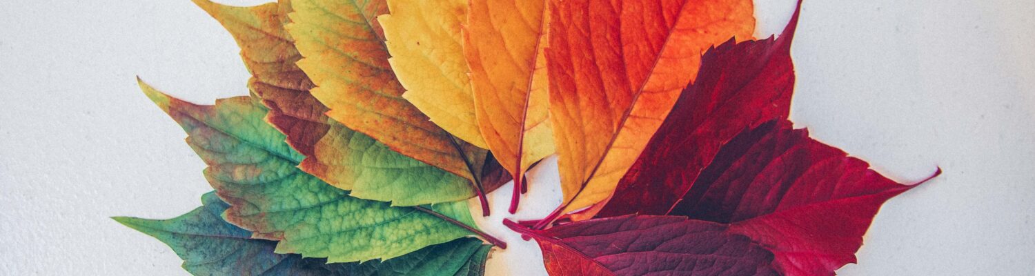 Different coloured leaves